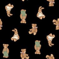 Pattern of bear N17