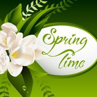 Fresh spring background with white flowers and leaves N3