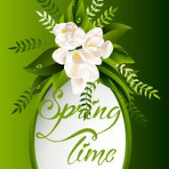 Fresh spring background with white flowers and leaves N7