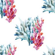 Corals with shells and crabs N6