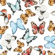butterfly pattern N32