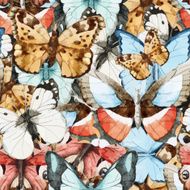butterfly pattern N33