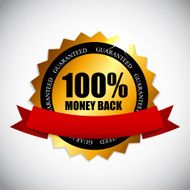 Best Choice Label with Ribbon Vector Illustration N3