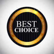 Best Choice Label with Ribbon Vector Illustration N4