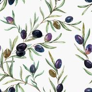 Olives N6