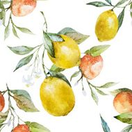 Lemons and oranges N4