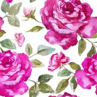 Rose Pattern N63