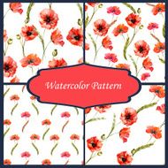 Wildflowers N12