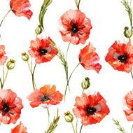 Wildflowers N16