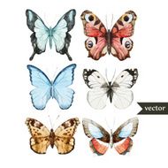 Butterly set