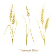 Wheat set