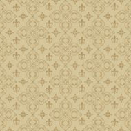 Damask Wallpaper Pattern N110