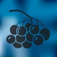 berries icon on blurred background