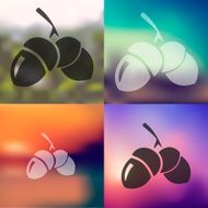 acorns icon on blurred background