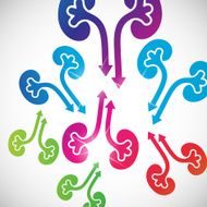 abstract background kidneys