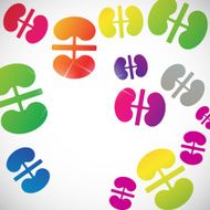 abstract background kidneys N2