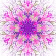 Beautiful fractal flower in purple and pink