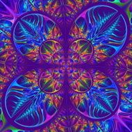 Multicolored diagonal symmetric pattern of the leaves