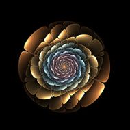 Abstract fractal flower N7