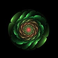 Abstract fractal flower N8