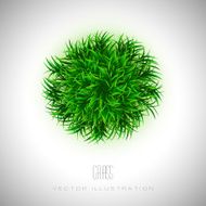 Grass Island