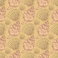 Sketch sea shell in vintage style N3