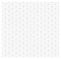 White and gray floral seamless pattern