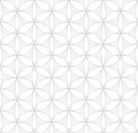 White and gray floral seamless pattern N2