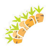 Eastern orange carrots pattern on a white