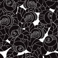 Graphic roses N6