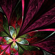 Fractal flower or butterfly on black background