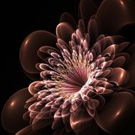 Beautiful red flower on black background