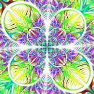 Multicolored diagonal symmetric pattern of the leaves N2