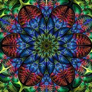 Multicolored symmetrical pattern of the leaves Collection - tree foliage