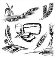 Wheat frame