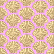 Sketch sea shell in vintage style N5