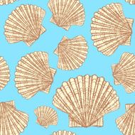 Sketch sea shell in vintage style N6