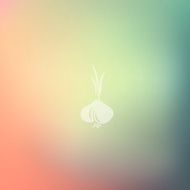 onion icon on blurred background