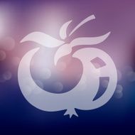 tomato icon on blurred background