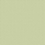 Geometric texture N14