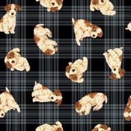 Pattern of dog N3