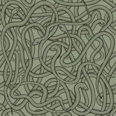 Snakes backgroung