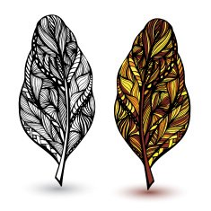 Decorative feathers N2