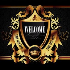 Vector decorative ornamental background with golden elements N13