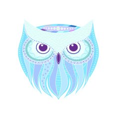 owl N70