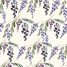 WIstaria flowers N2