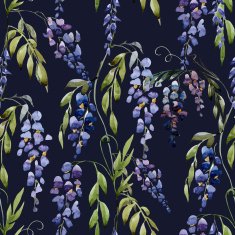 WIstaria flowers N3