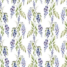 WIstaria flowers N4
