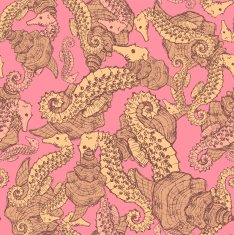 Sketch seahorse and shell in vintage style N2