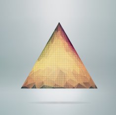 abstract vector polygonal triangle N5